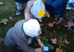 Dzieci sadzą krzew